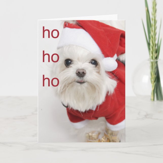 Santa Maltese Puppy Christmas Holiday Card (Front)
