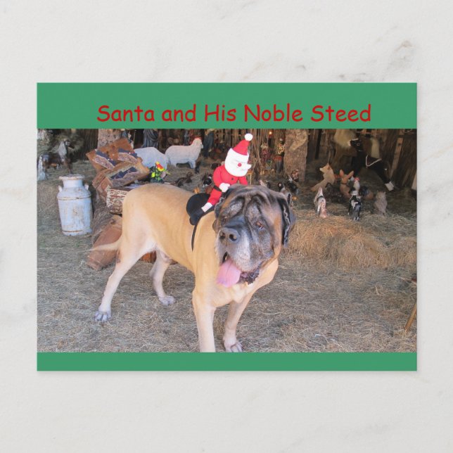 Santa mastiff dog Christmas Postcard Postcrossing (Front)