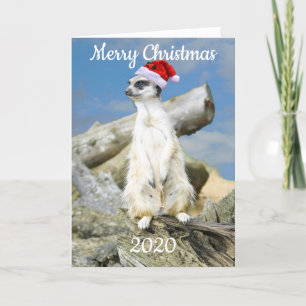 Santa Meerkat Christmas Card