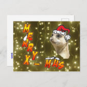 Santa Meerkat Merry Christmas Sparkling Postcard (Front/Back)