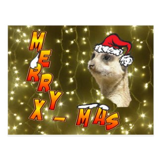 Santa Meerkat Merry Christmas Sparkling Postcard