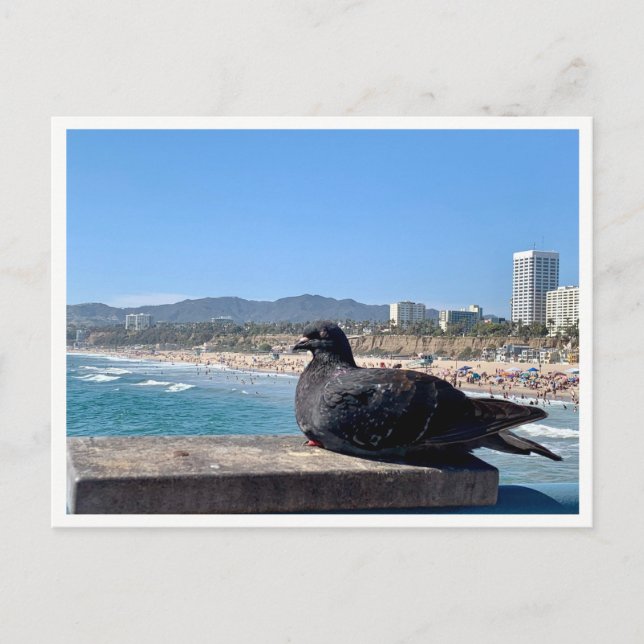 Santa Monica, CA Postcard (Front)