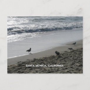 Santa Monica, California Postcard