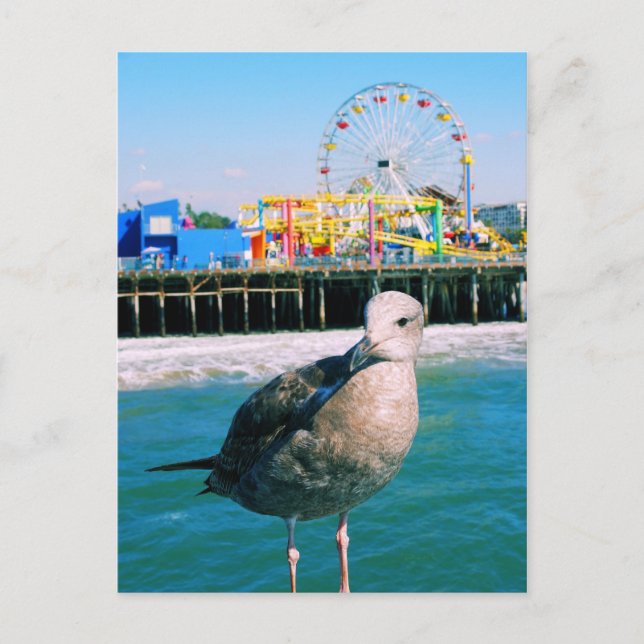 Santa Monica Pier Visitor Postcard (Front)