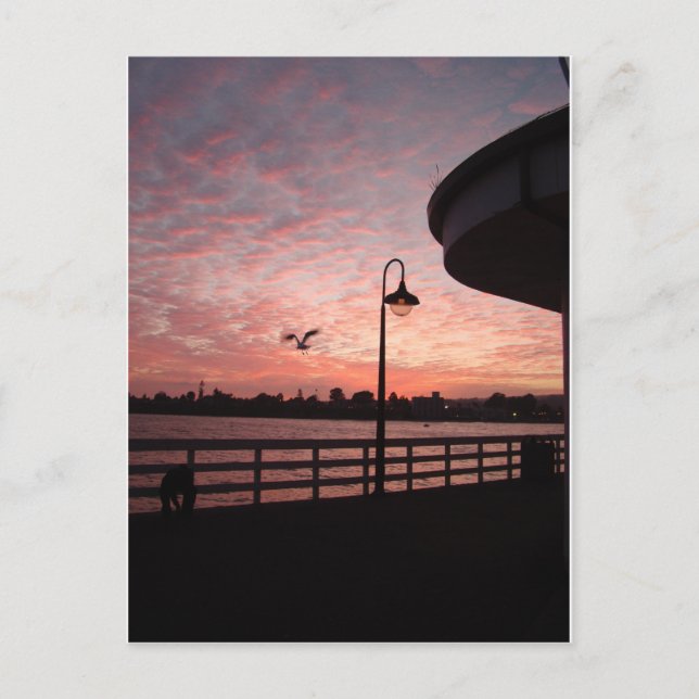 Santa Monica Pink Postcard (Front)