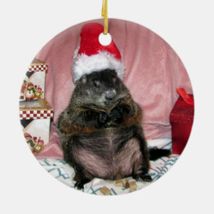Santa Moses Pet Groundhog Christmas Ornament