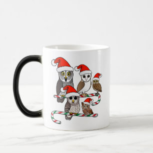 Santa Owls Color Morph Mug