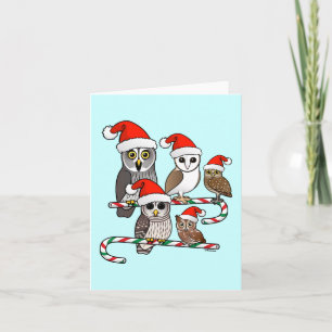 Santa Owls Holiday Card
