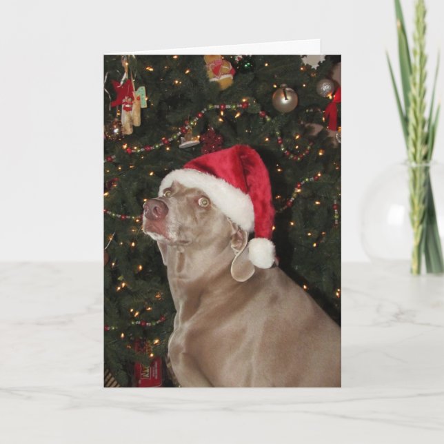 Santa Paws - A Weimaraner Dog's Christmas Holiday  (Front)