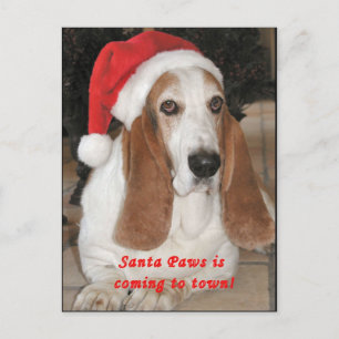 Santa Paws Blank Postcard