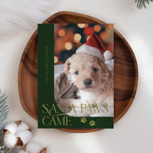 Santa Paws Came Dog Photo Green Christmas Holiday Card