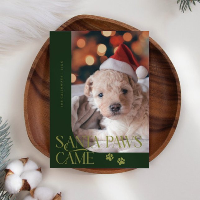 Santa Paws Came Dog Photo Green Christmas Holiday Card (Creator Uploaded)