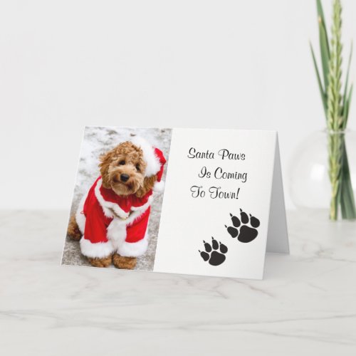 Santa Paws Christmas Card