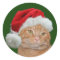 Santa Paws