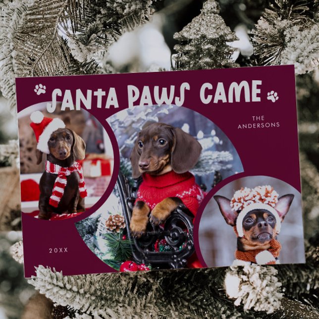 Santa Paws Cranberry Dog Photo Holiday Card (Creator Uploaded)