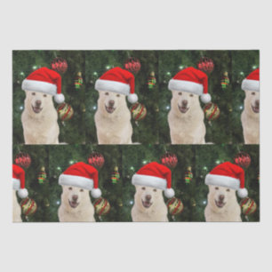 Santa Paws - Crystal the Husky Dog Christmas Tissue Paper
