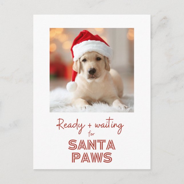 Santa Paws - Dog lover Christmas Holiday Postcard (Front)