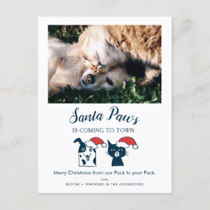 Santa Paws Funny Cat and Dog Pet Photo Holiday Postcard