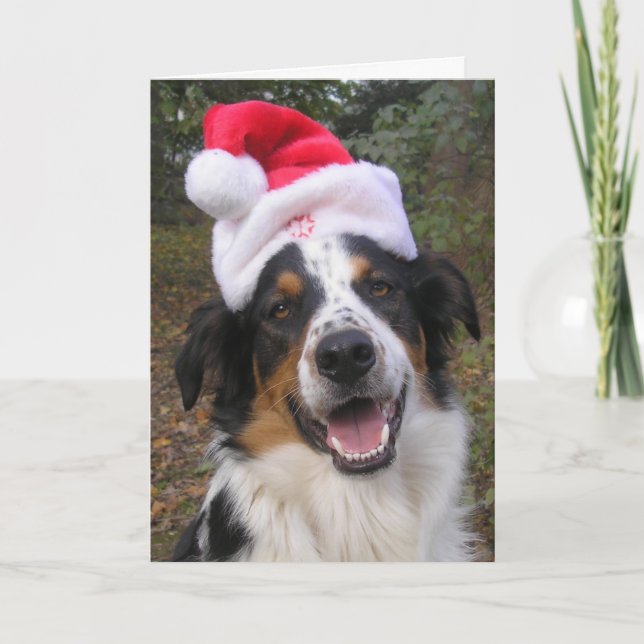 "Santa Paws" Holiday Card (Front)