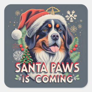 Santa Paws Is Coming Bernese Dog Christmas Square Sticker