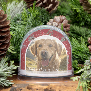 Santa Paws is Coming   Custom Pet Photo Holiday Snow Globe