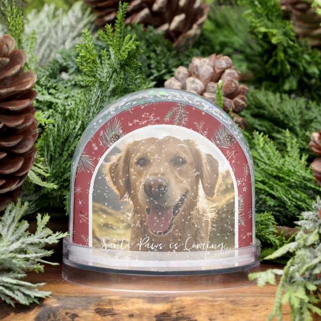 Santa Paws is Coming | Custom Pet Photo Holiday Snow Globe (Winter)