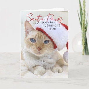 Santa Paws Is Coming To Town Christmas Card