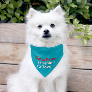 Santa Paws is Coming to Town – Christmas Pet Banda Bandana Collar