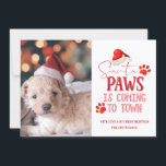 Santa Paws is Coming to Town Christmas Photograph Holiday Card<br><div class="desc">Santa Paws is Coming to Town Christmas Photograph & Typography With Fun Holiday Quote , Santa Hat, Dog or Cat Paw Prints, and trendy script text in Bright Red. A Funny & cute quote for Christmas Pet Lovers, holidays, and the winter season. Fun for the whole family! Just add your...</div>