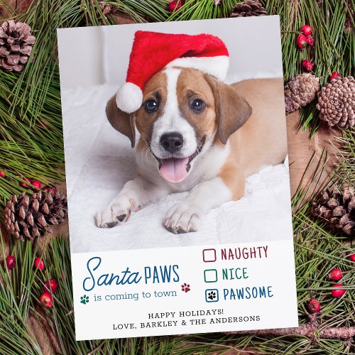 Santa Paws Naughty Nice Pawsome Dog Pet Photo  Holiday Card