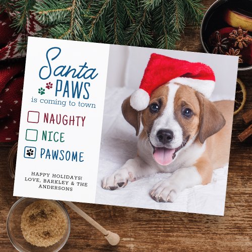 Santa Paws Naughty Nice Pawsome Pet Dog Photo  Holiday Postcard
