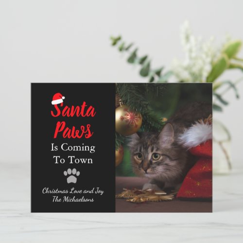 Santa Paws Pet Photo Christmas Holiday Card