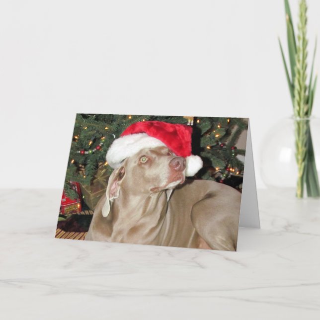 Santa Paws - Rain (a.k.a. Raina) Holiday Card (Front)