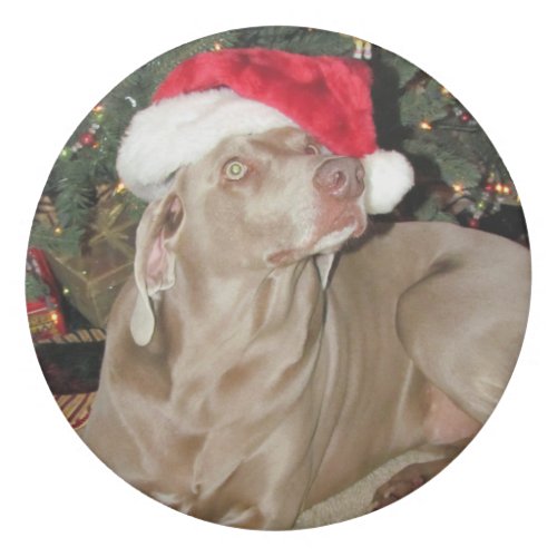 Santa Paws _ Rain the Weimaraner Dog _  Eraser