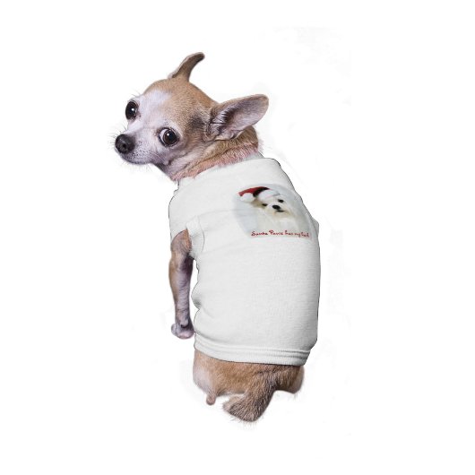 Santa Paws Tee (Back)