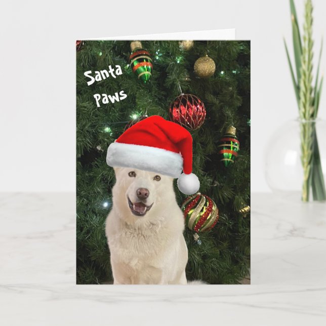 Santa Paws - The Happy Husky Greeting Card (Front)