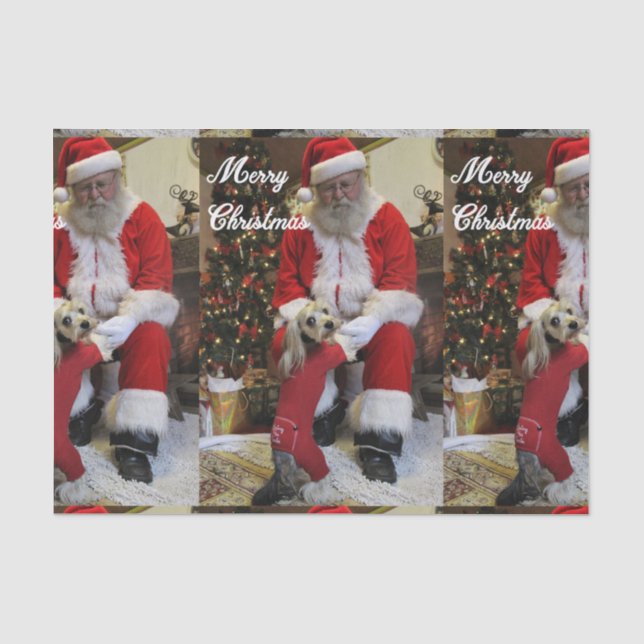 Santa Paws Tissue Paper (Front)