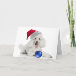 Santa Poodle Card