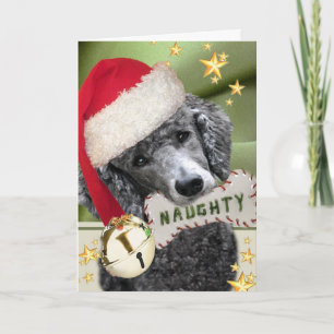 Santa Poodle Naughty or Nice Cards