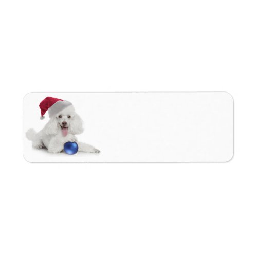 Santa Poodle Return Address/Gift Labels
