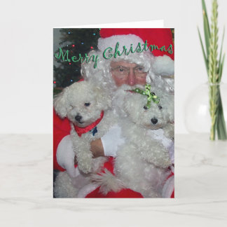 Santa & Poodles Christmas Card