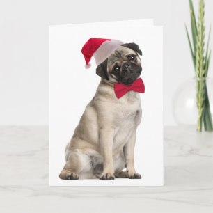Santa Pug Christmas Cards