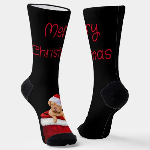 Santa Puppy Crew Socks