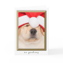 Santa Puppy No Peeking