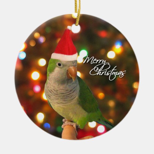 Santa Quaker Parakeet Christmas Ornament