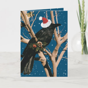 Santa Raven Christmas Holiday Nature Bird Crow