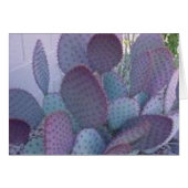 santa rita cactus (Front Horizontal)