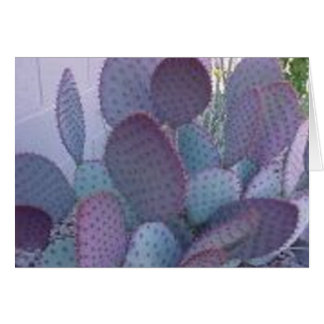 santa rita cactus cards