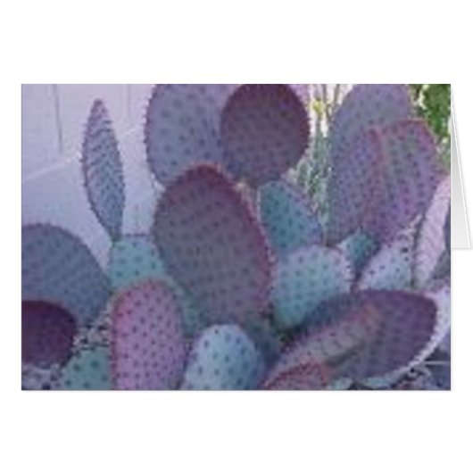santa rita cactus cards (Front Horizontal)