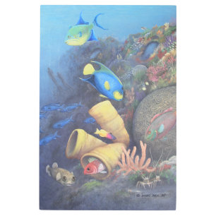 Santa Rosa Wall 1 Fine Art Metal Print